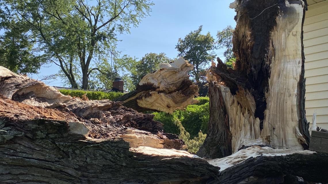 Cleanup in Northeast Ohio continues after tornadoes - Vimarsana News