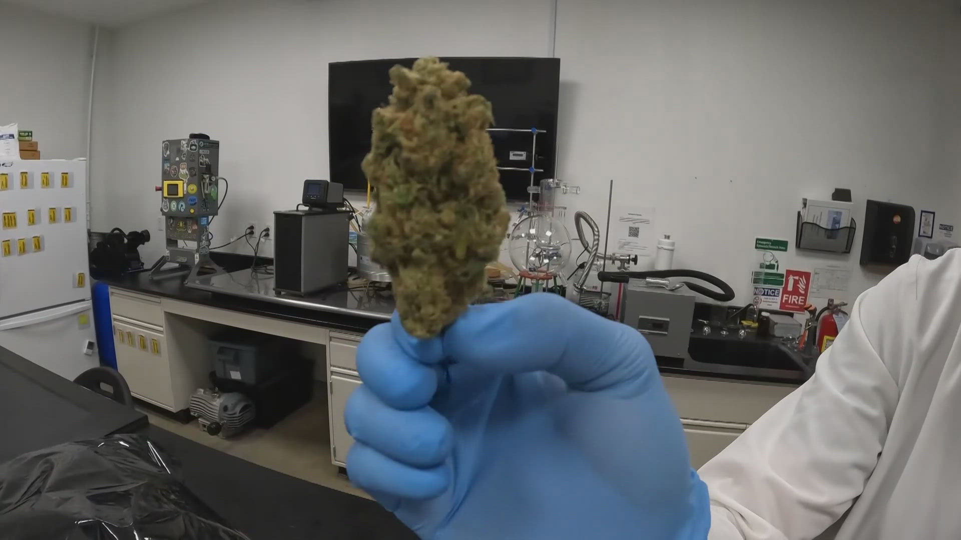 3News got a behind-the-scenes look at Firelands Scientific, a 60,000-square-foot cannabis cultivation center in Huron.