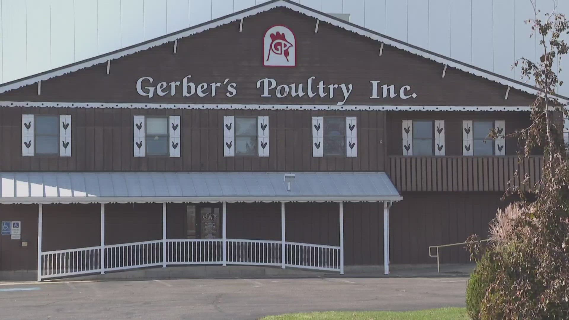 Over two dozen children — mainly Guatemalan — were identified as underaged workers at a Kidron plant run by Gerber's Poultry.