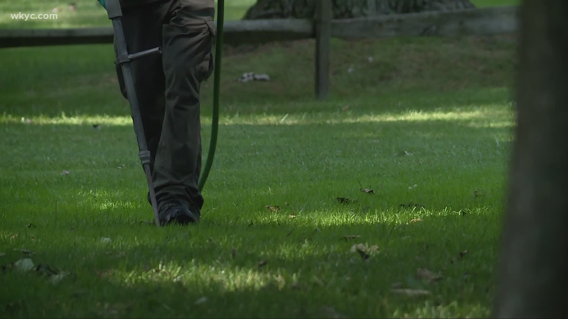 We've had high temps and very little rain, which could be damaging to the trees in your yard. 3News'  Jason Frazer tells us how to keep them in tip-top shape.