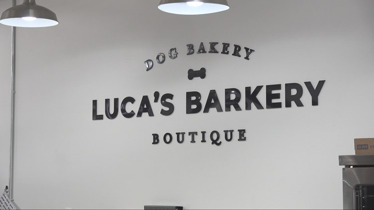 Celebrating National Dog Day at Luca's Barkery