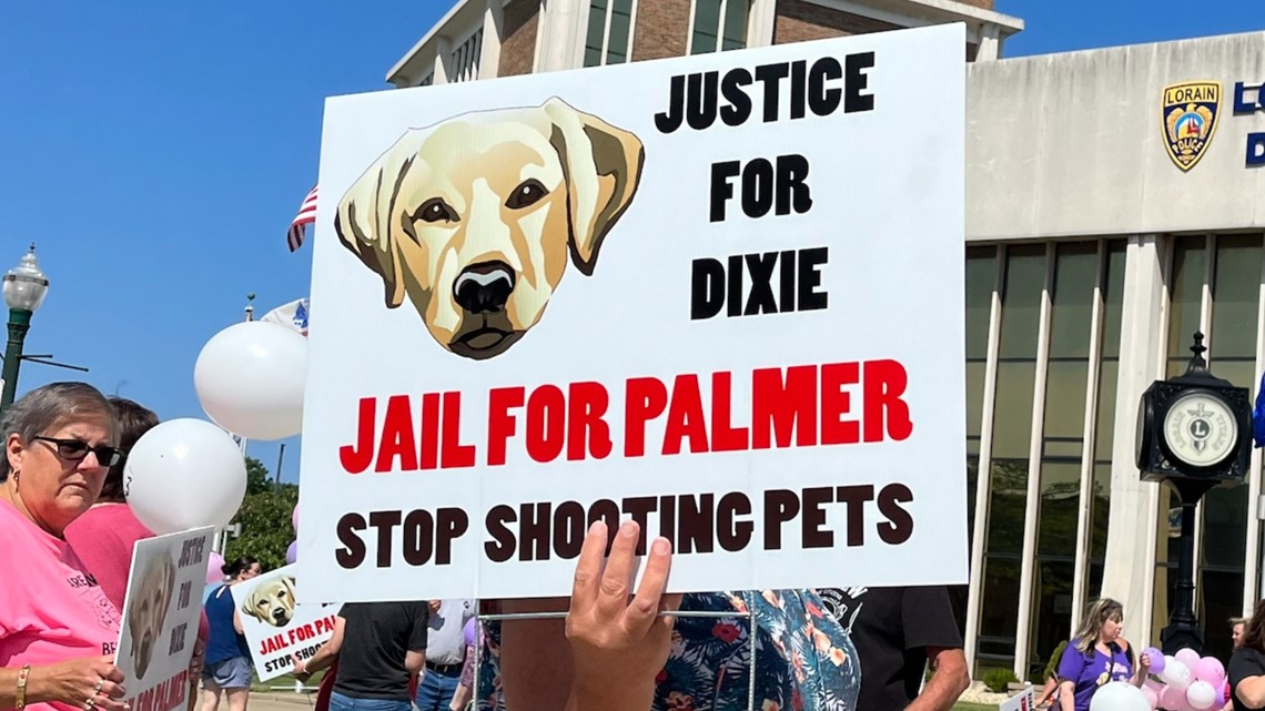 Justice for Dixie rally in Lorain after officer shoots family dog