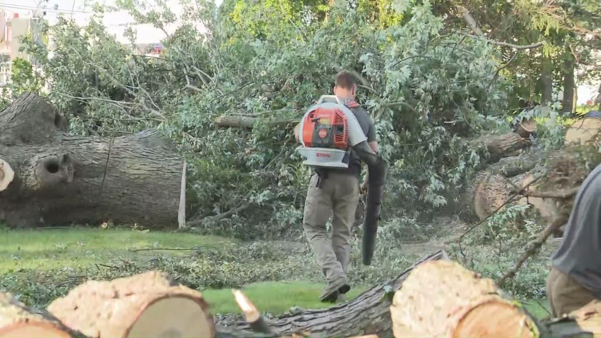 The cost of tree removal looms heavy for many in Mentor following last week's tornado.