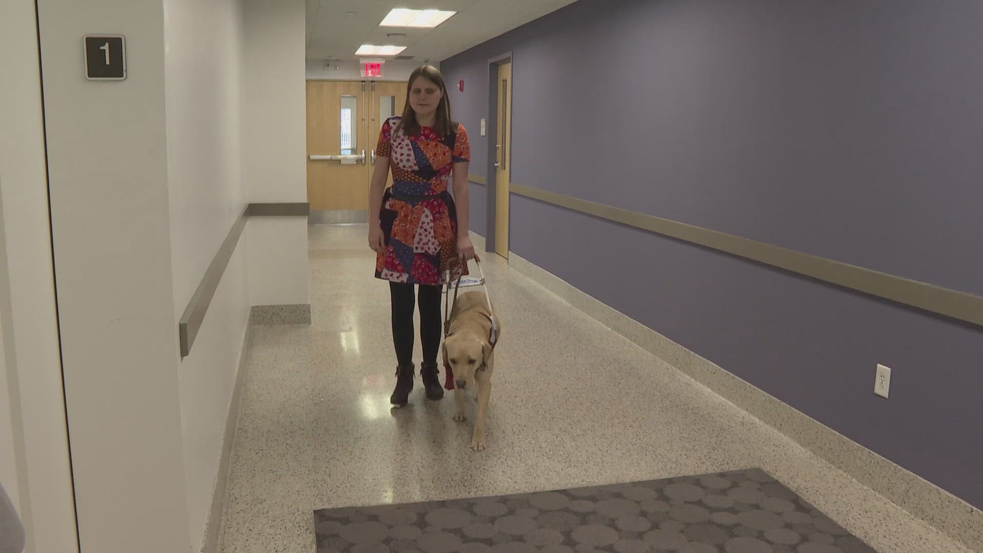  There are roughly 20,000 recognized guide dogs at work around the world today, offering people with low vision or blindness enhanced mobility and confidence.