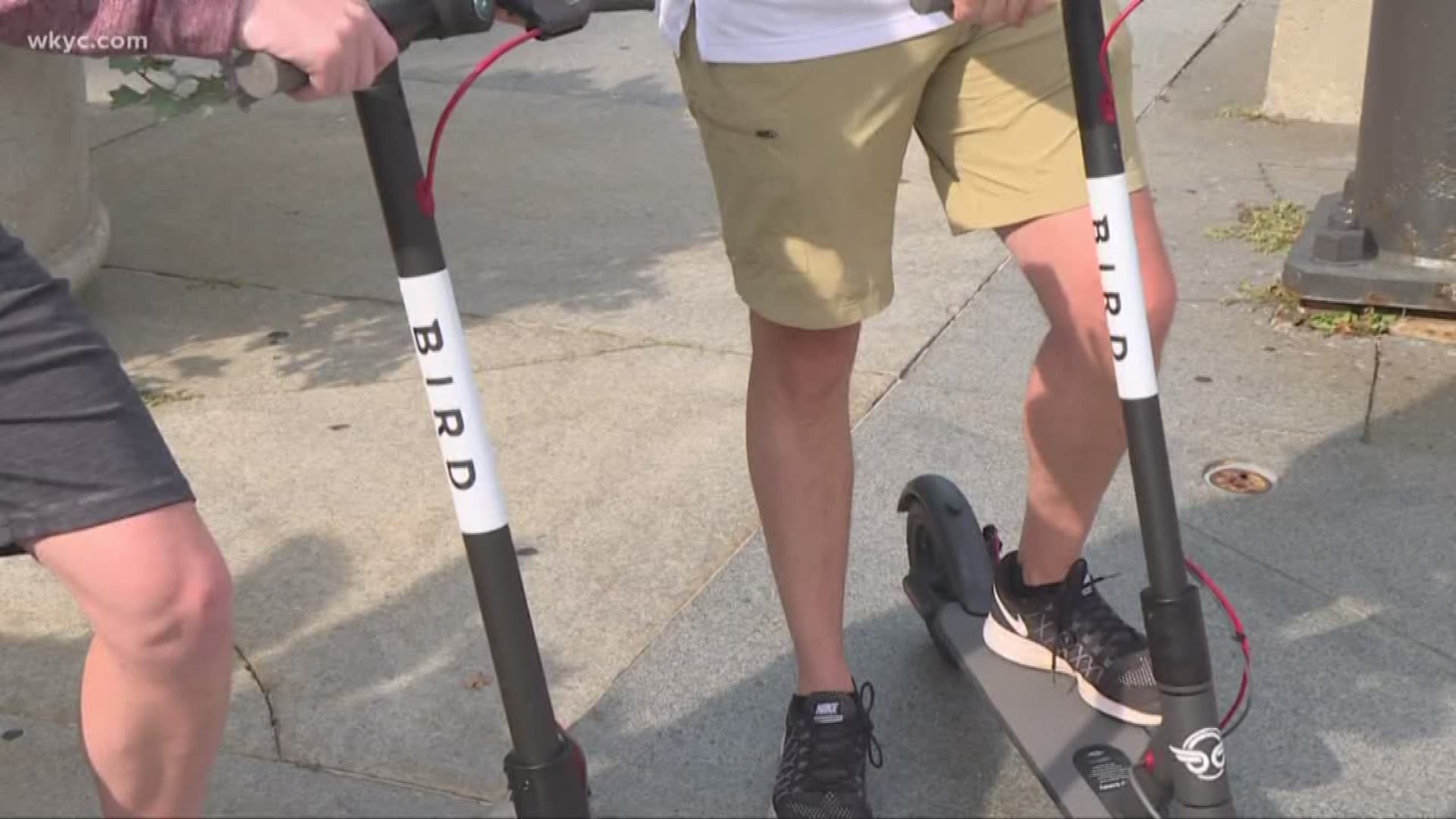 Bird electric scooter are out of CLE until further notice