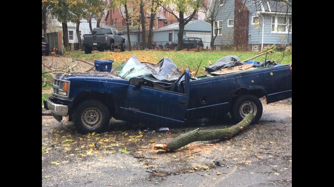 Tree falls on truck in Cleveland Heights | wkyc.com