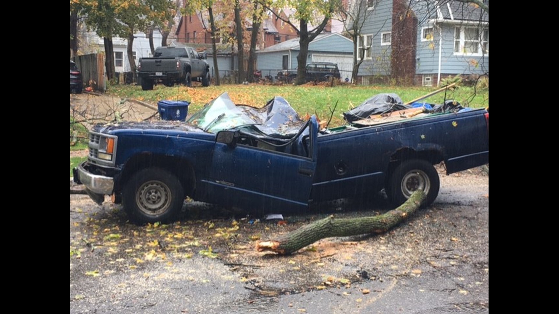 Driver rescued in Cleveland Heights after tree falls on truck | wkyc.com