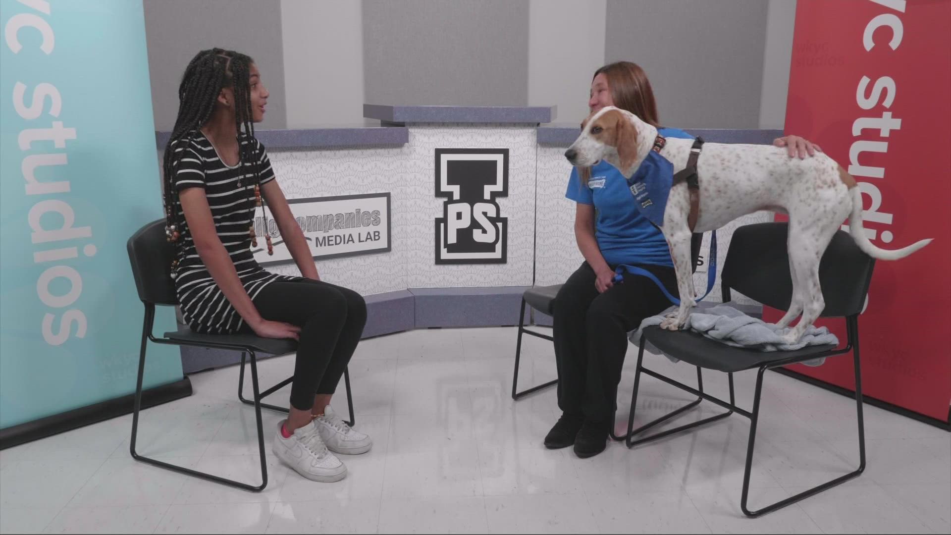 Akron Children's Hospital is celebrating the 30th anniversary of its Doggie Brigade program this year. These weekly interviews from the I Promise School stem from a
