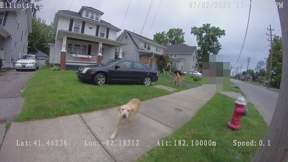 GRAPHIC VIDEO: Footage Shows Lorain Officer Killing Dog | Wkyc.com