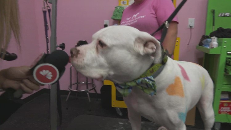 Woof Gang Bakery in Concord sells treats, accessories for furry friends