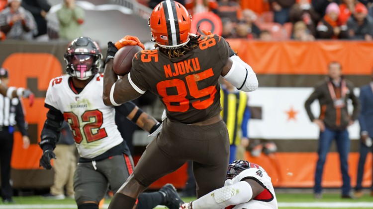 Watch: Skunk spotted in the stands during Browns-Buccaneers game 