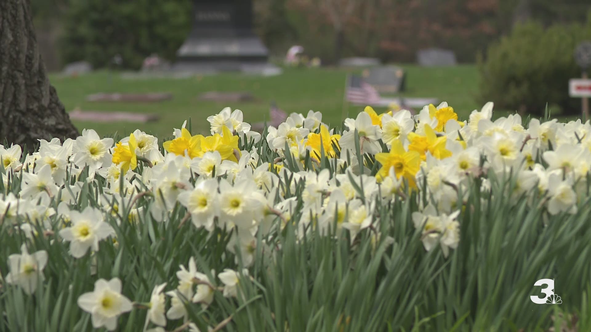 Beautiful flowers at Lake View Cemetery on April 18, 2019