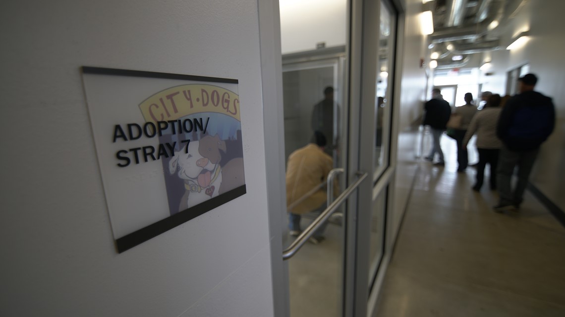 FIRST LOOK City of Cleveland opens new kennel