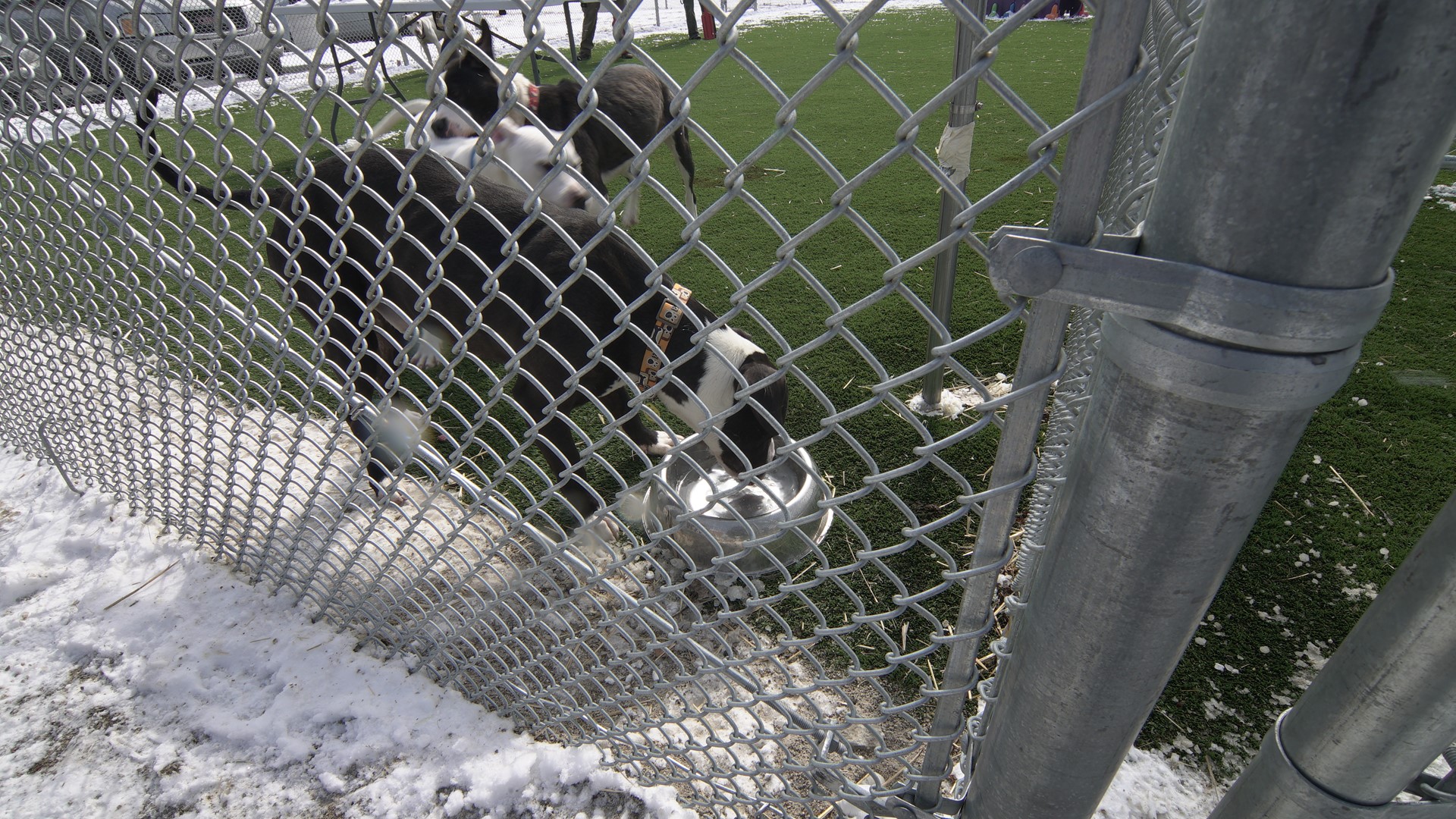 FIRST LOOK City of Cleveland opens new kennel