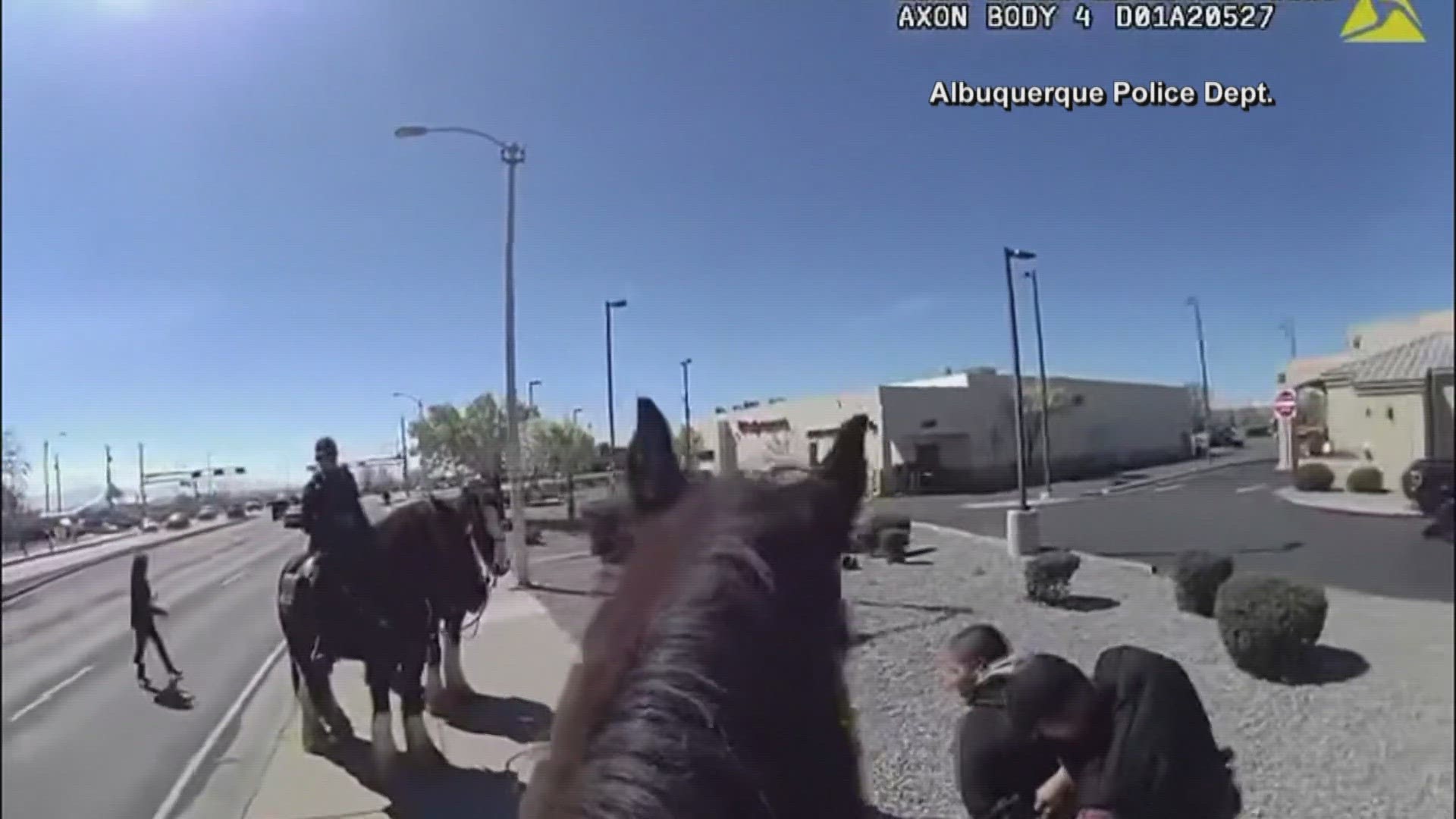 This is something you don't see everyday: Police in Albuquerque, N.M. chased down a robbery suspect on horseback.
