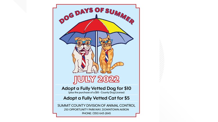 Summit County Division of Animal Control reduces adoption fees for month of July