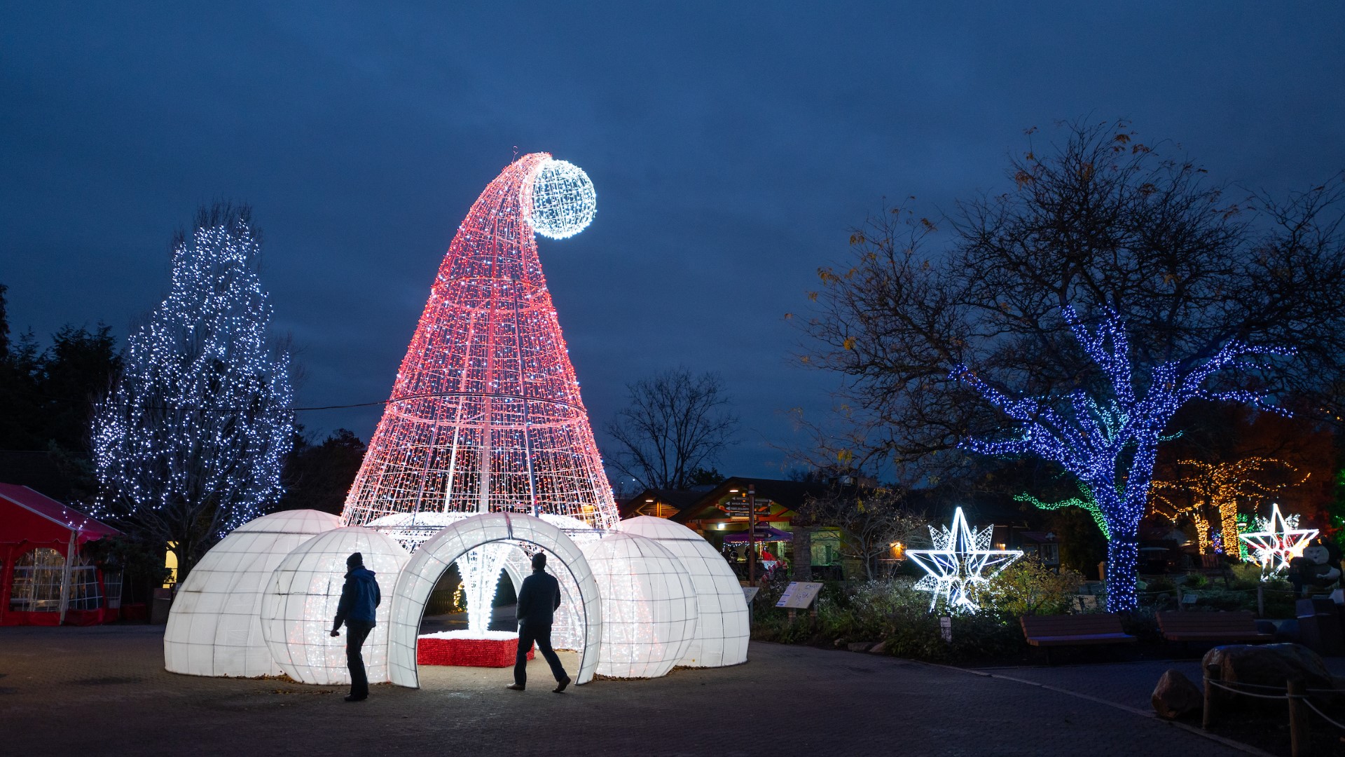 Wild Winter Lights returns to Cleveland Metroparks Zoo in 2022
