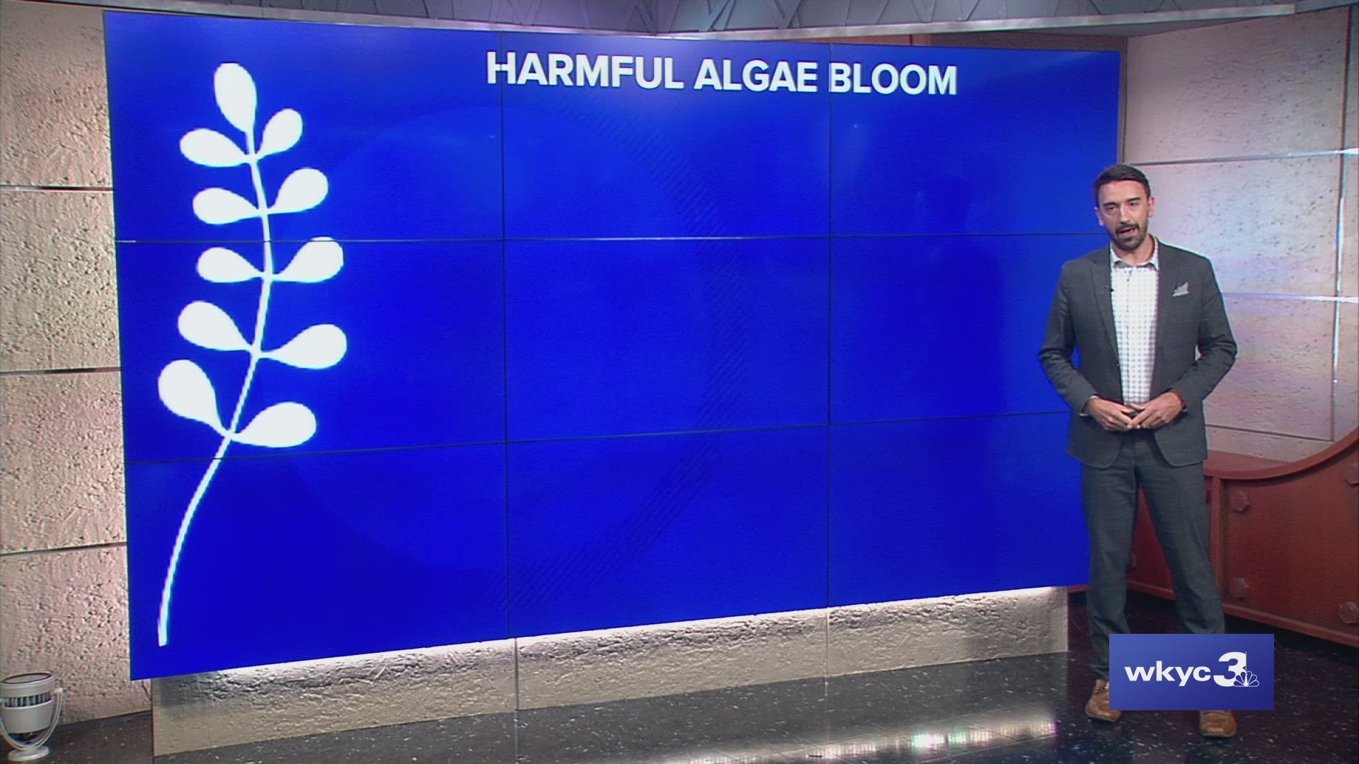 WKYC Meteorologist Matt Wintz is here to help us better understand this year's algae bloom and how it compares to past years. #3weather