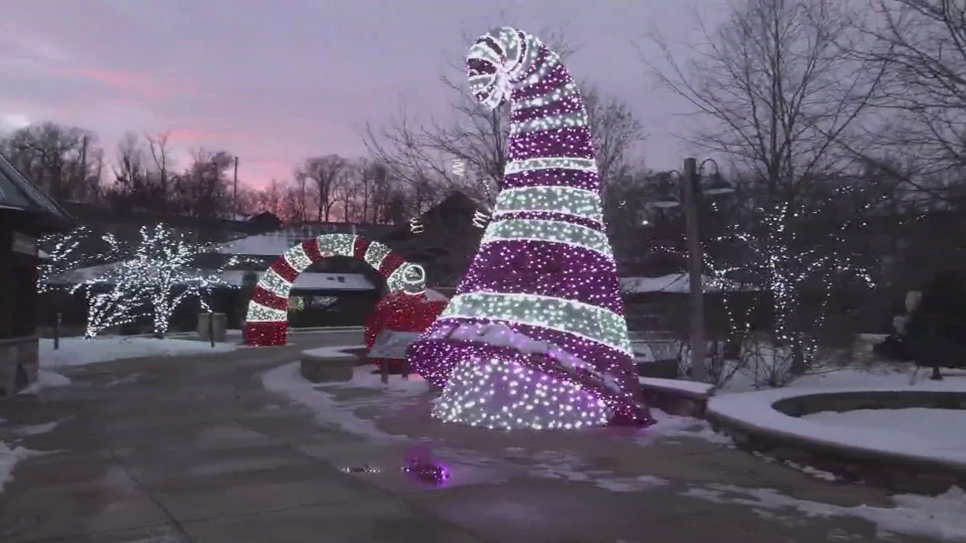 The Zoo features over 1.5 million lights across holiday-themed areas, including Enchanted Forest, Swan Lake, Candy Lane, Polar Pathway and Santa’s North Pole Lodge.