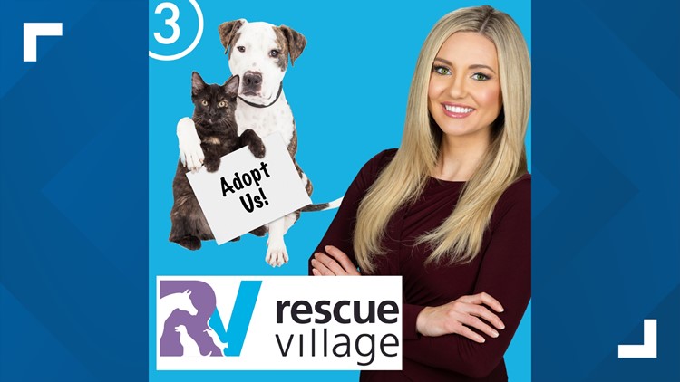 WKYC's Stephanie Haney joins board of trustees at Rescue Village | wkyc.com