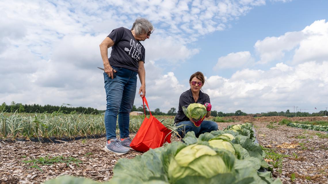 Ohio State program aids cancer survivors with gardening