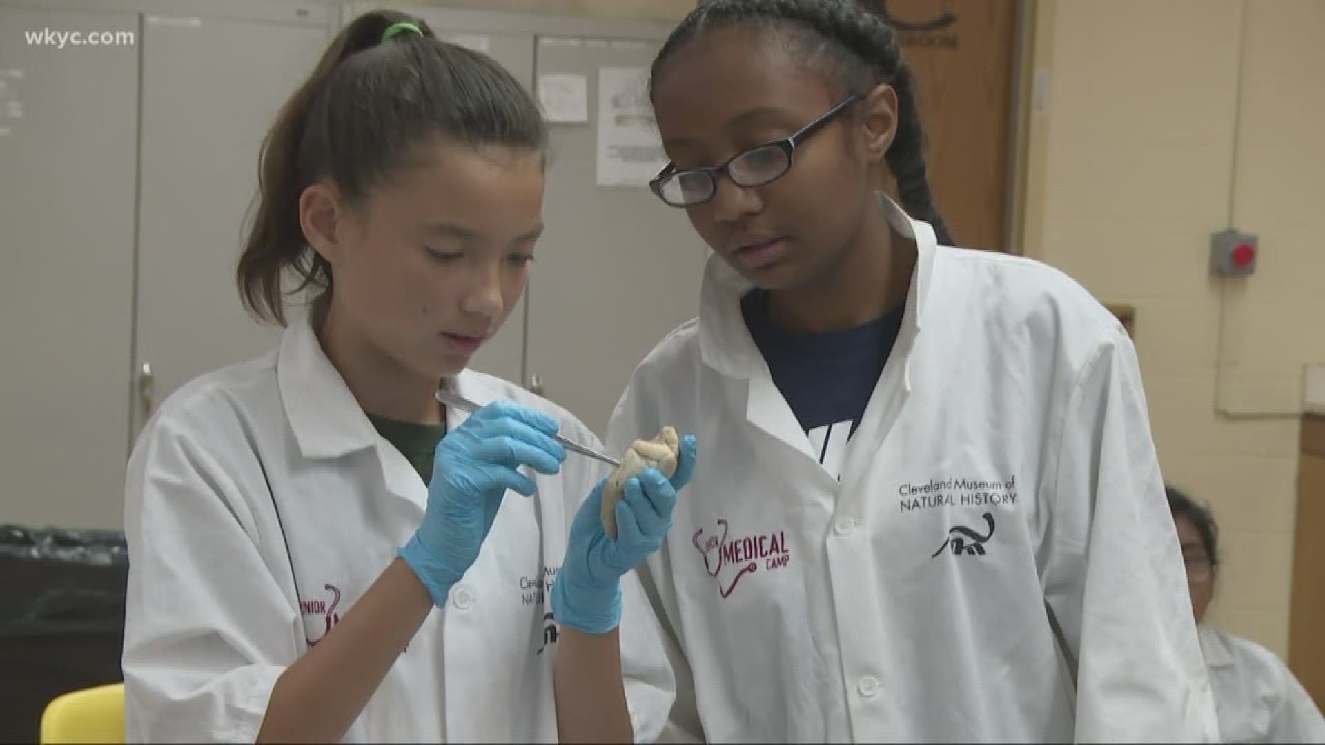 There are all kinds of summer camps for kids, but for Friday's Girls in STEM, we found one that puts scalpels and forceps in kids' hands.