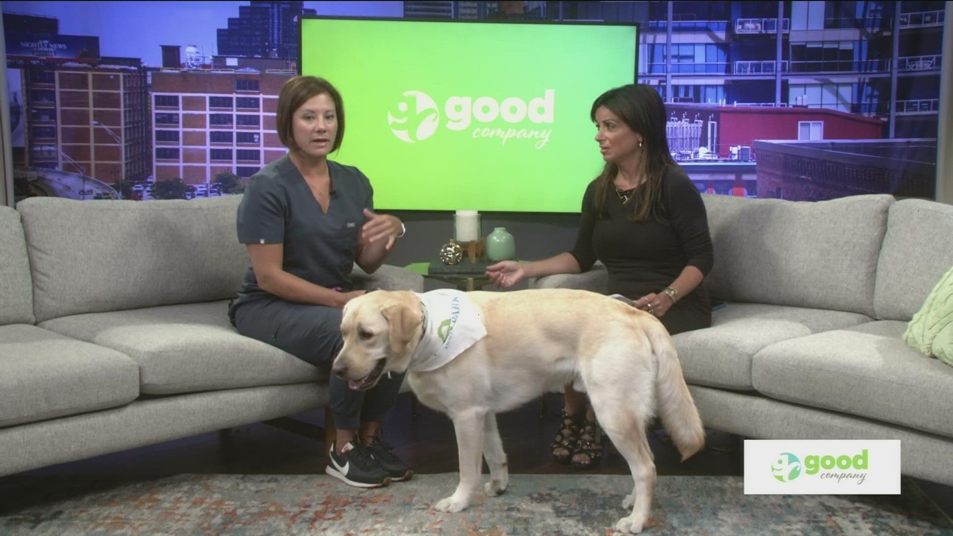 Dr. Megan Culler from West Park Animal Hospital talks about how to help your pet adapt to changes this time of the year!