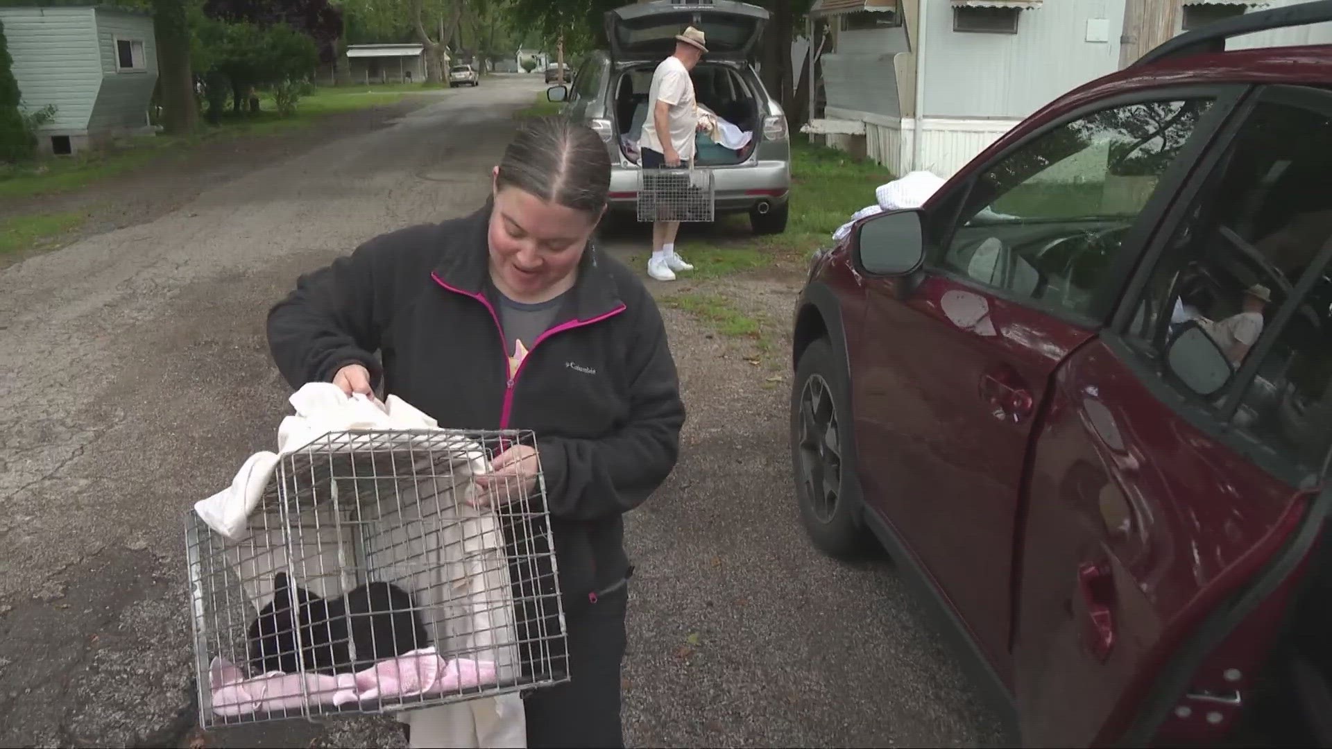 Euclid Beach Cat Project has long served the feline population throughout Northeast Ohio. Now they're facing one of their greatest challenges yet.