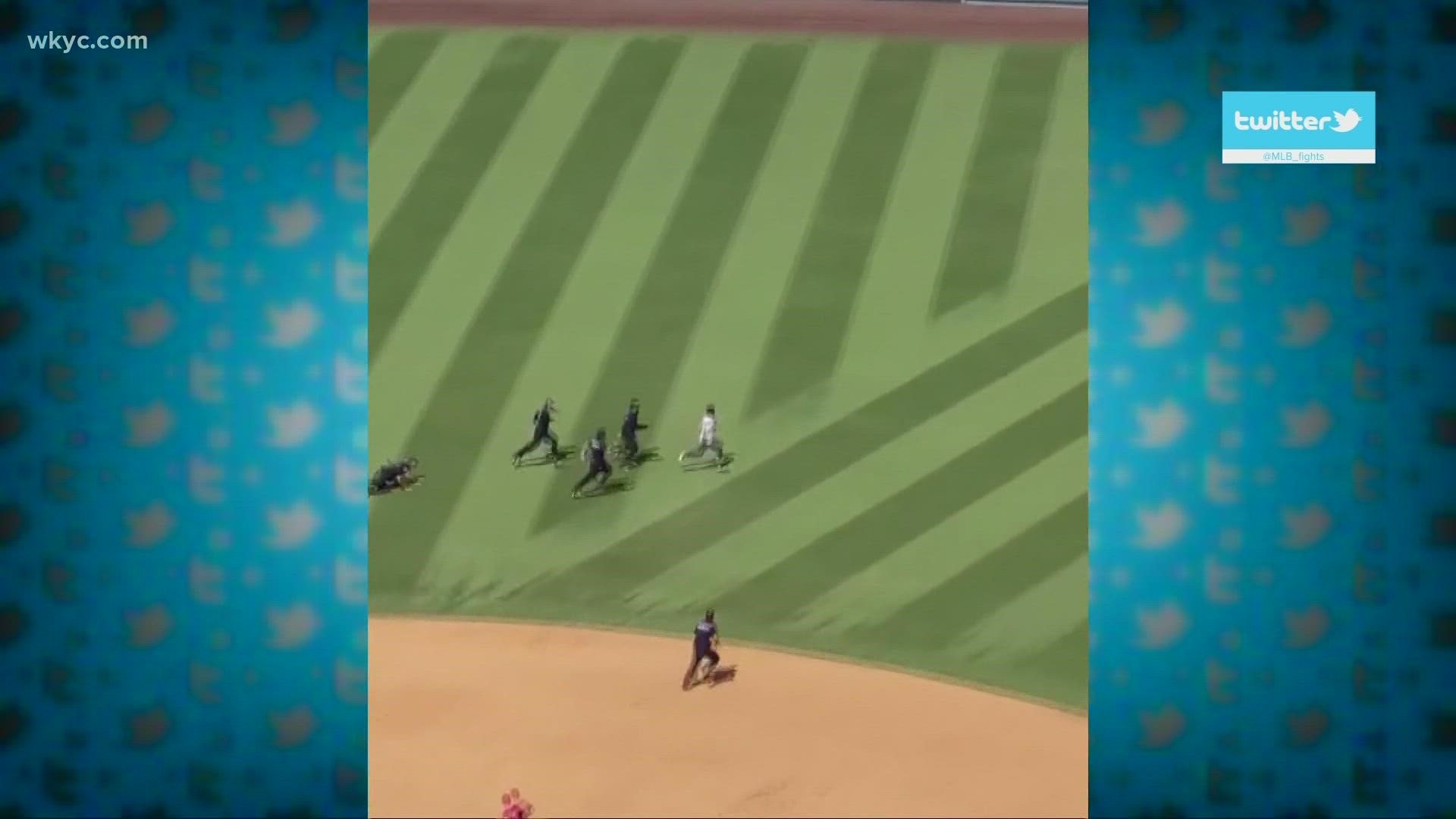 Watch: Dodgers' Trea Turner's viral smooth slide vs. Phillies
