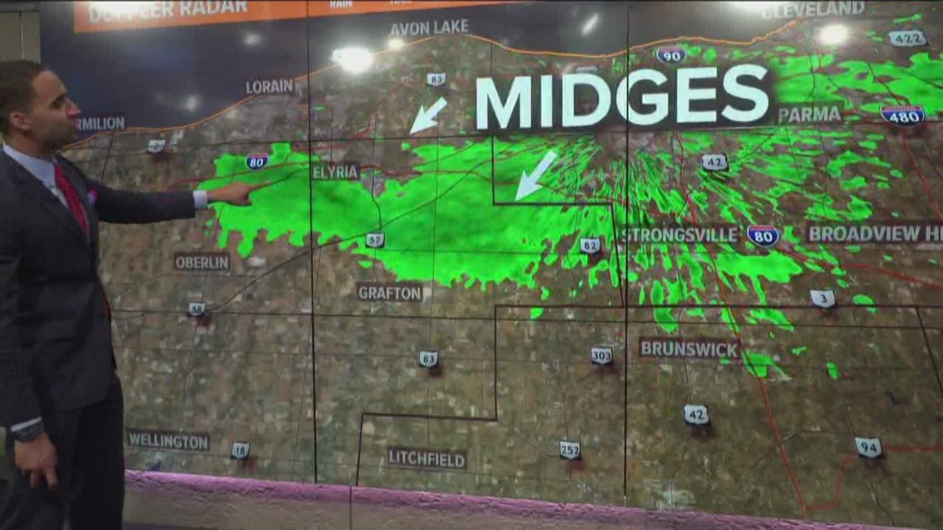 Intense swarm of midges seen on Cleveland radar