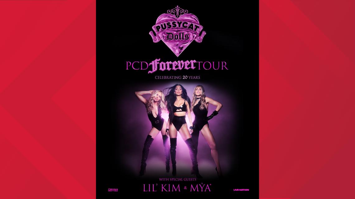 The Pussycat Dolls have canceled nearly all North American reunion tour dates, including a stop at Blossom Music Center.