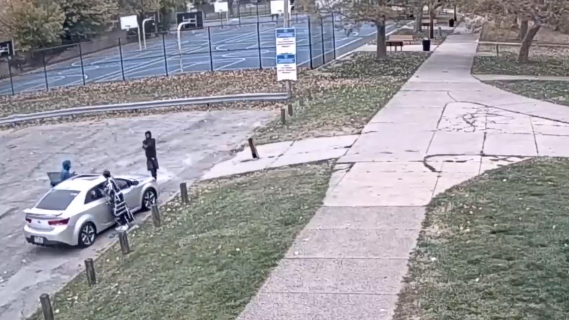 The video shows the teens terrorize a woman and her dogs on Oct. 31, then attempt to run down two people in November.