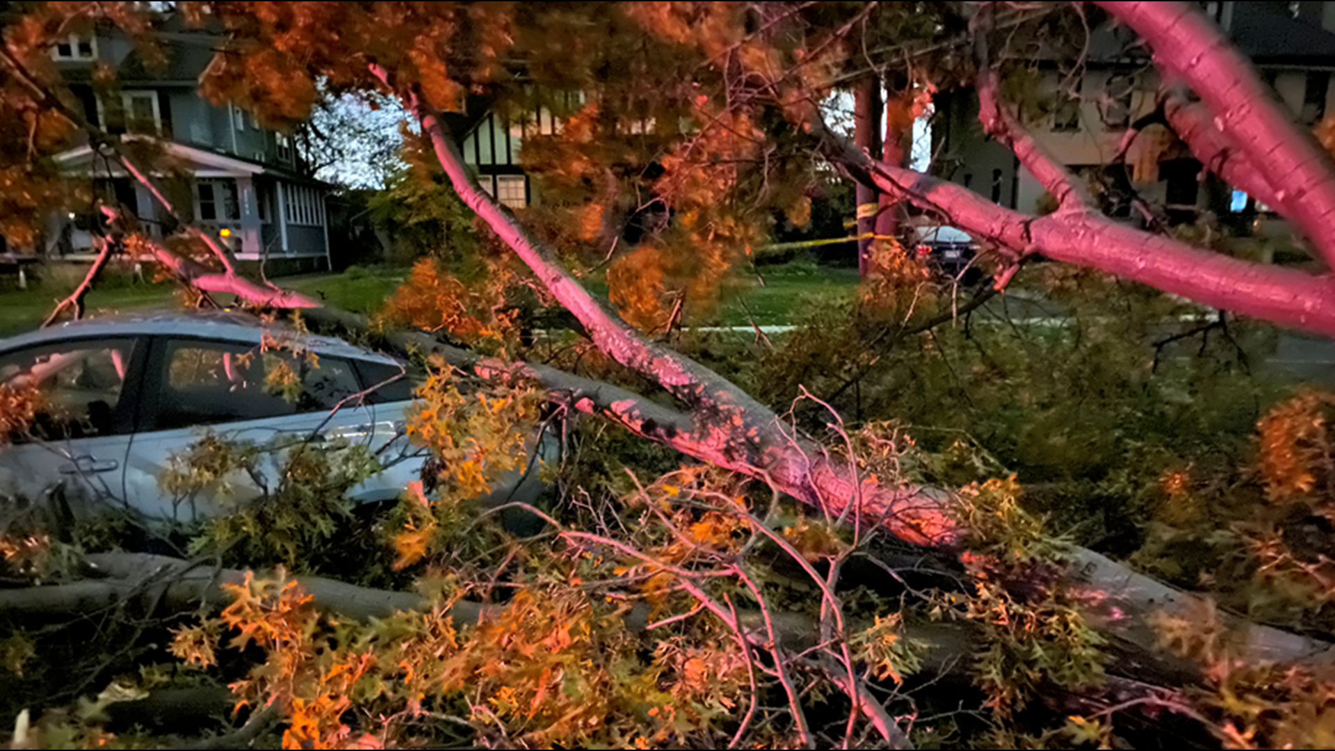 High winds causing downed trees, thousands of power outages across ...