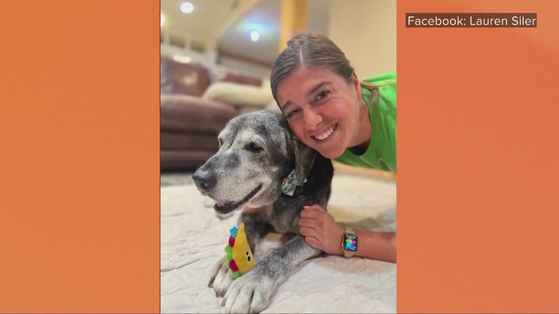 When a 19-year-old dog was surrendered at a Dallas shelter, best friends took her in. Could Annie's tale help other seniors get adopted too?