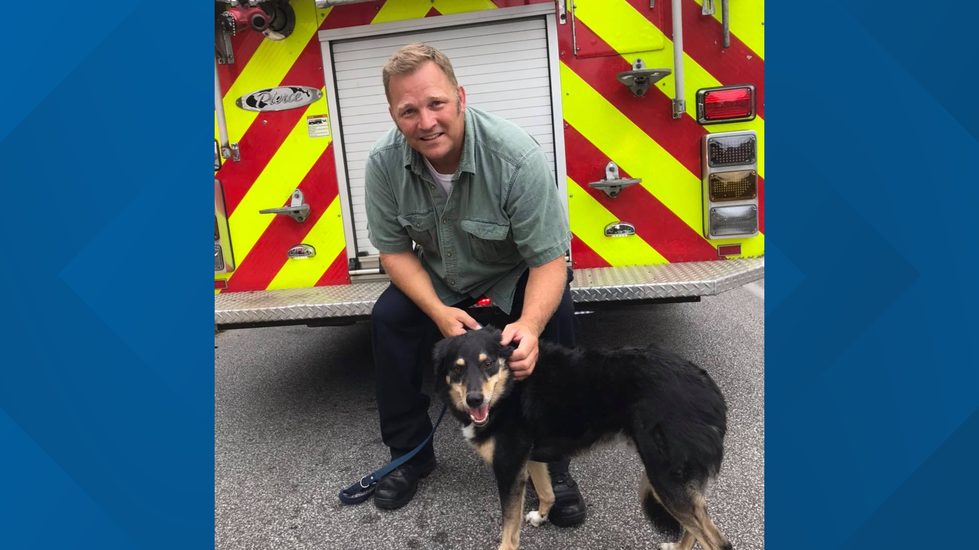 Cleveland Police Lieutenant helps rescue dog in Tremont house fire ...