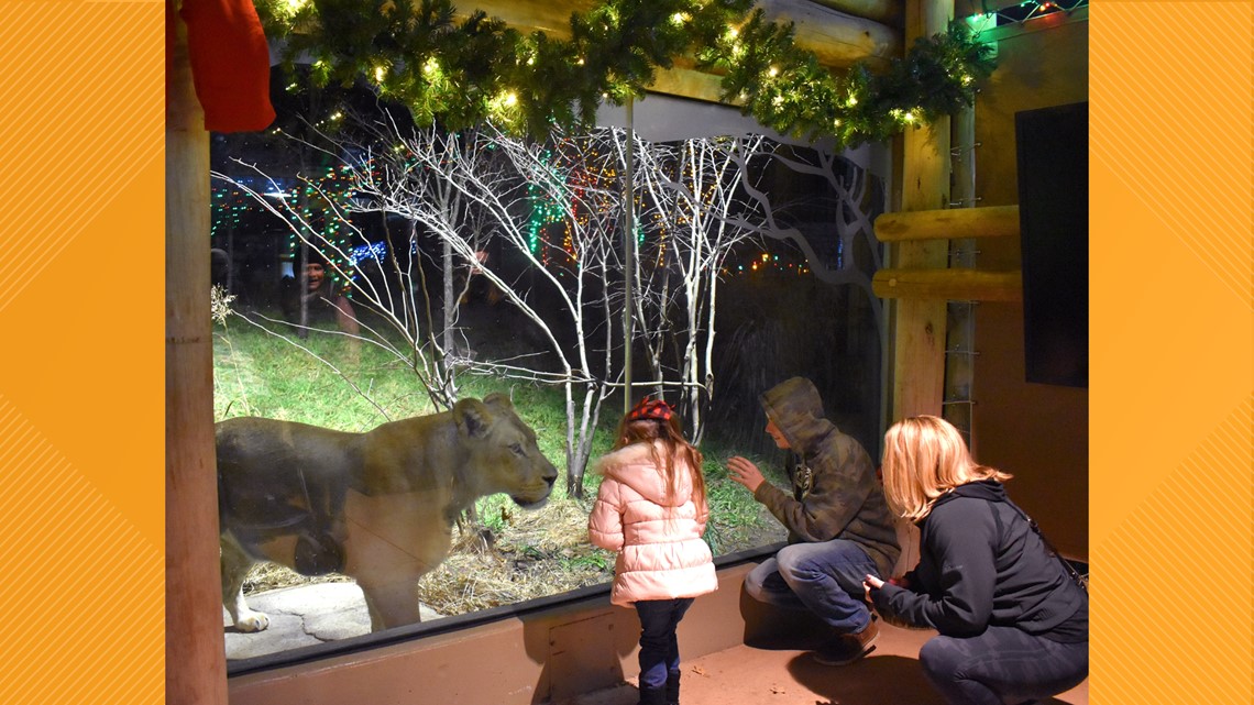When is Akron Zoo's Wild Lights? - Vimarsana News