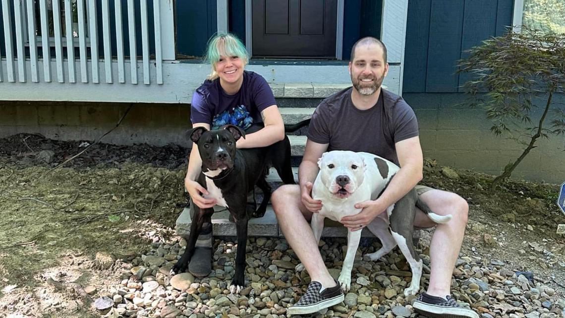 Update on Snickers the blind rescue dog after he gets adopted | wkyc.com