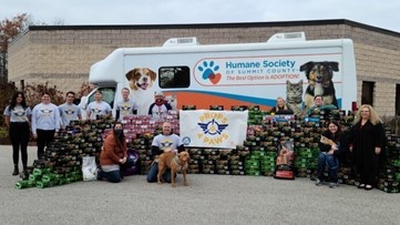 Pets Cleveland Oh Wkyc Com