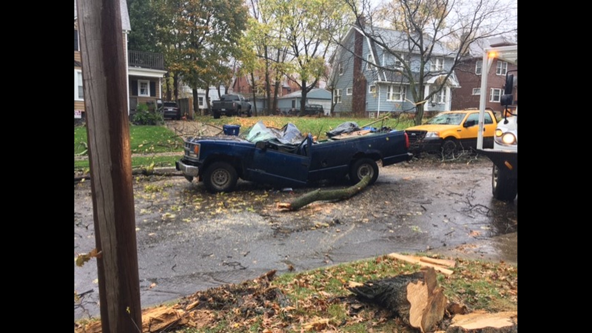 Driver rescued in Cleveland Heights after tree falls on truck | wkyc.com