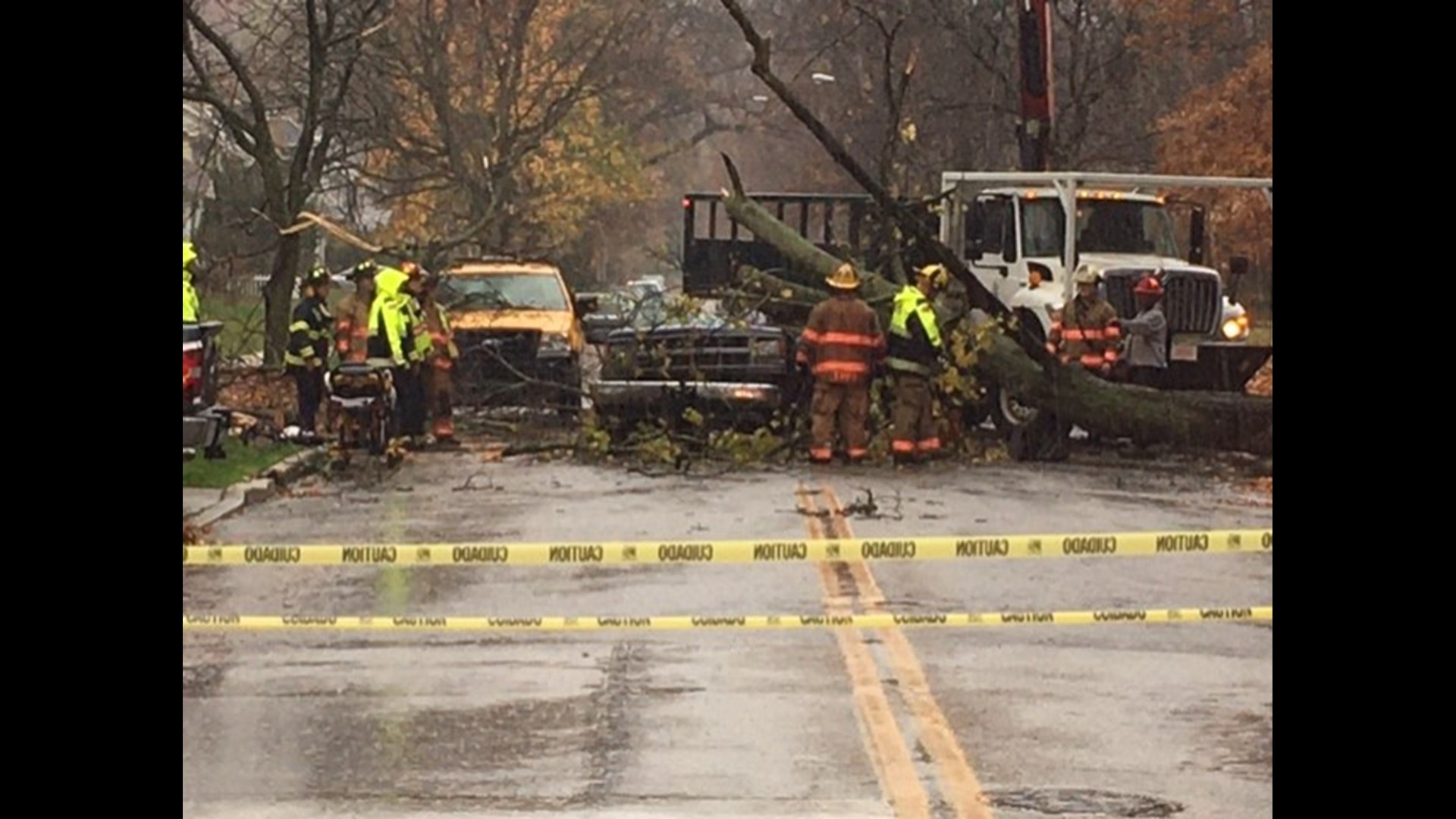 Driver rescued in Cleveland Heights after tree falls on truck | wkyc.com