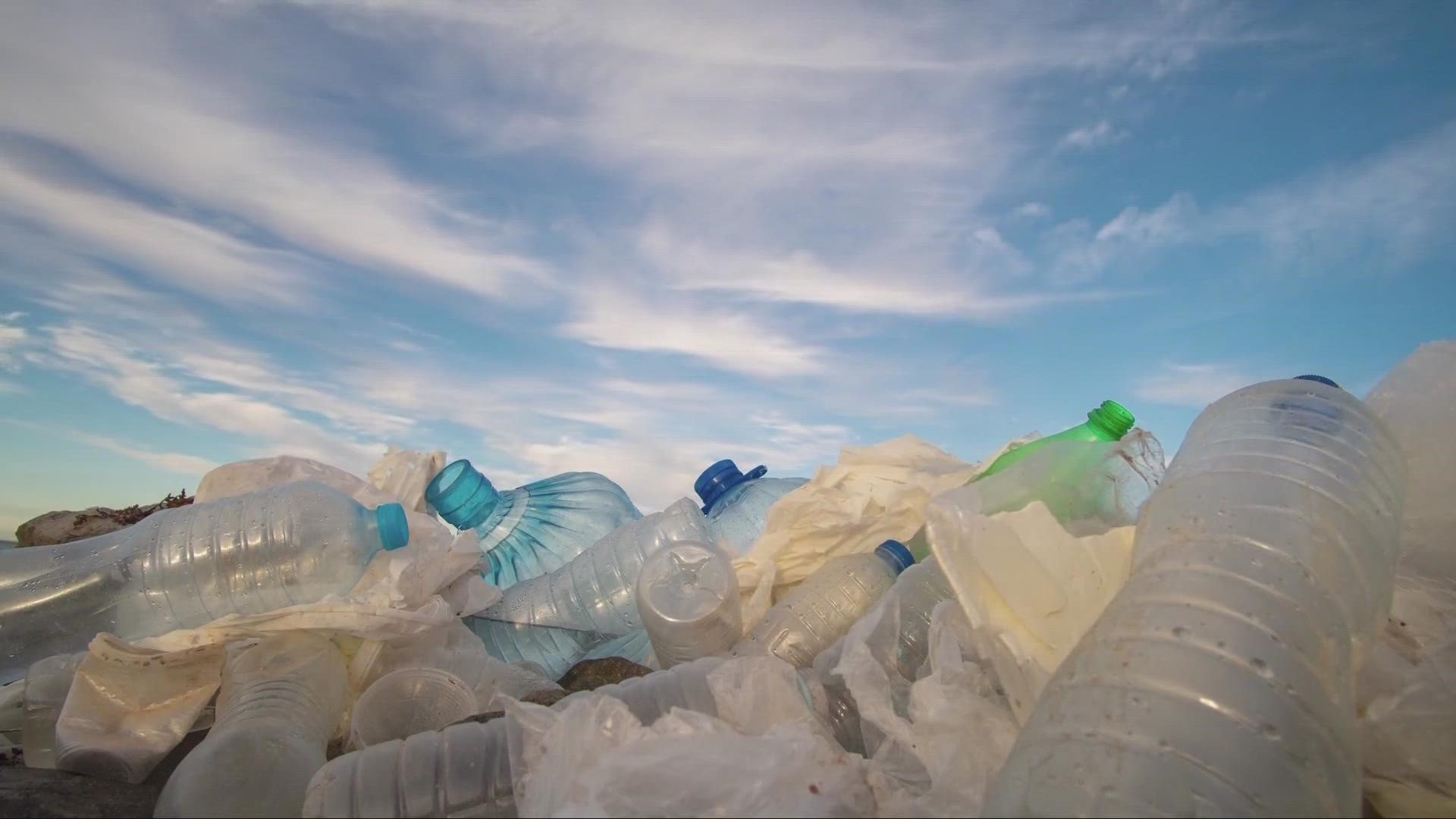Our monthly Planet CLE initiative is challenging viewers to be a part of the solution to plastic pollution. 3News' Payton Domschke reports.