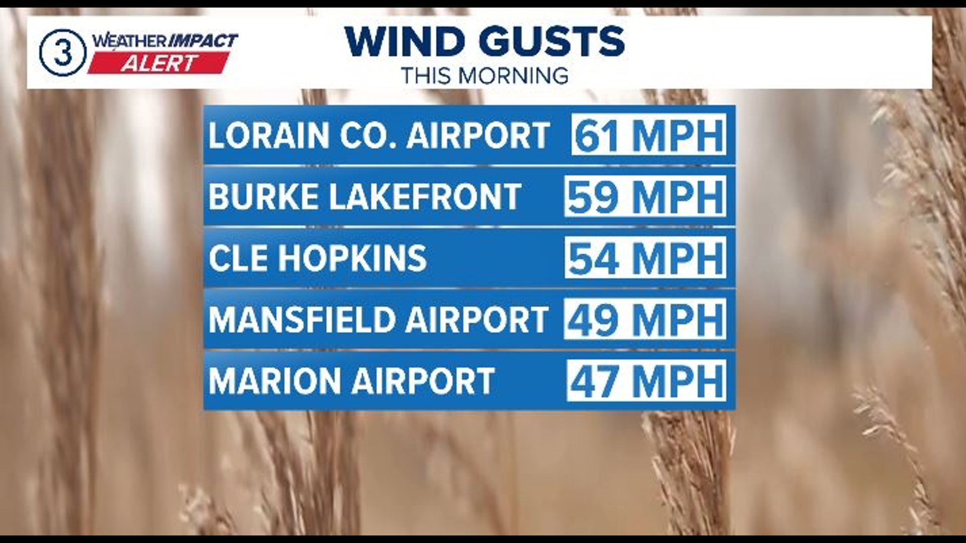 Weather Impact Alert in Northeast Ohio: Storms and gusty winds this ...