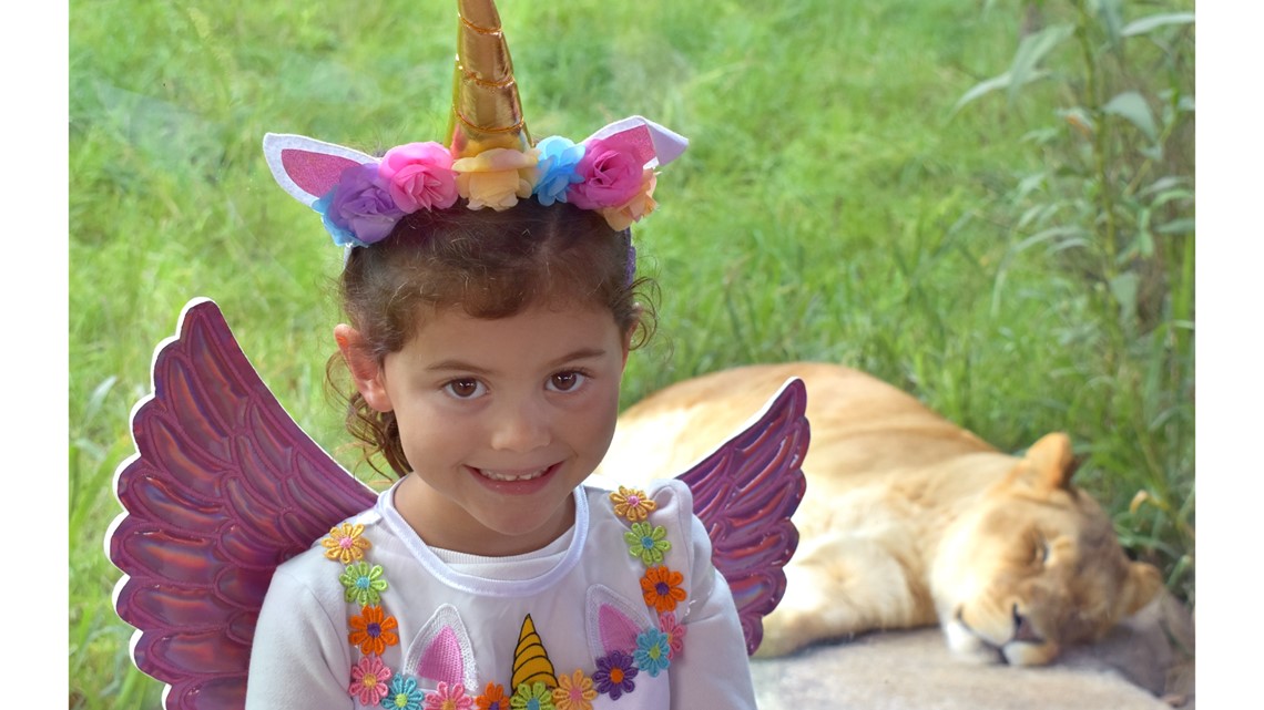 Boo at the Akron Zoo returns in October | wkyc.com
