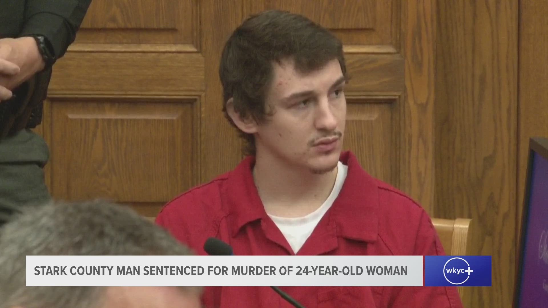 During a sentencing hearing for Sean Goe, Stark County Common Pleas Court Judge Judge Frank Forchione said it was 'the most brutal murder' he has ever seen.