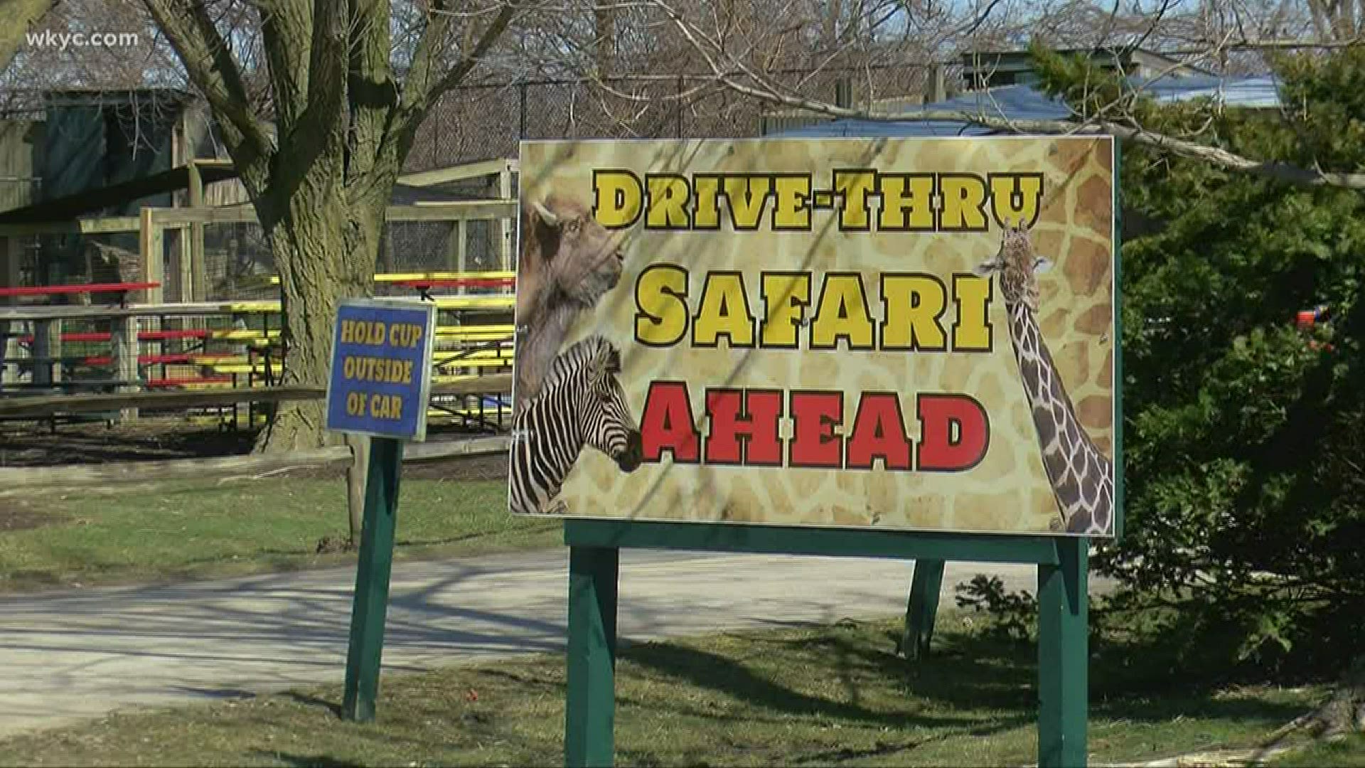 The Port Clinton drive-thru attraction features more than 400 animals that the entire family can feed.