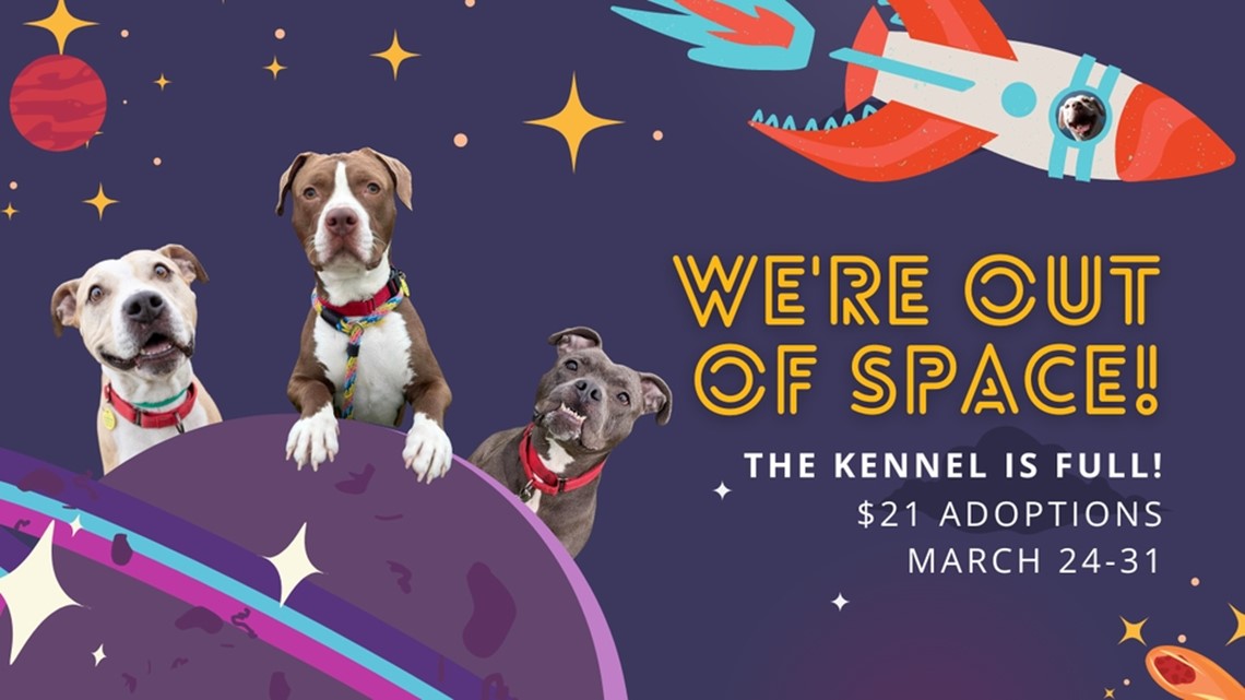 Cleveland kennel reduces adoption fees from March 2431