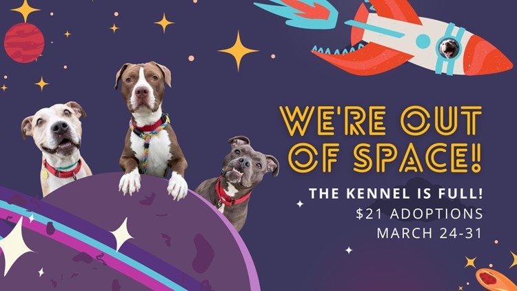 Looking to adopt a pet? Cleveland kennel drops adoption fees to $21 for March 24-31