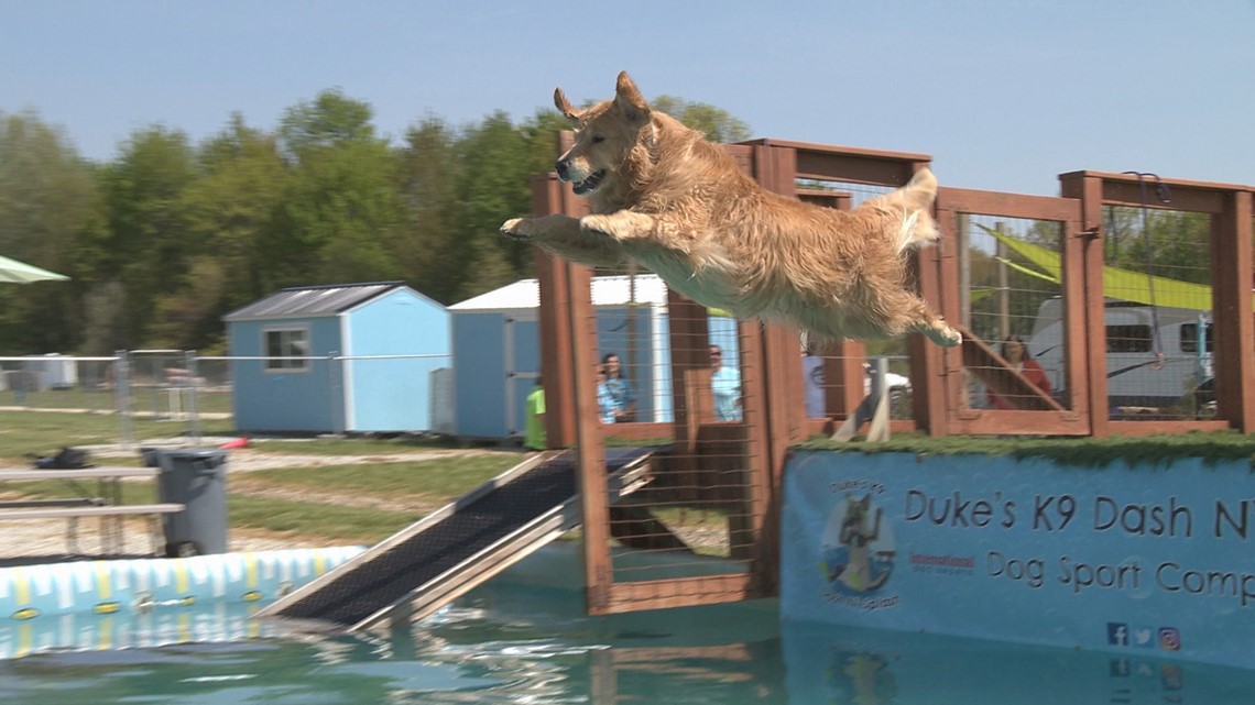 Duke's K9 Dash N' Splash in Windham What to expect