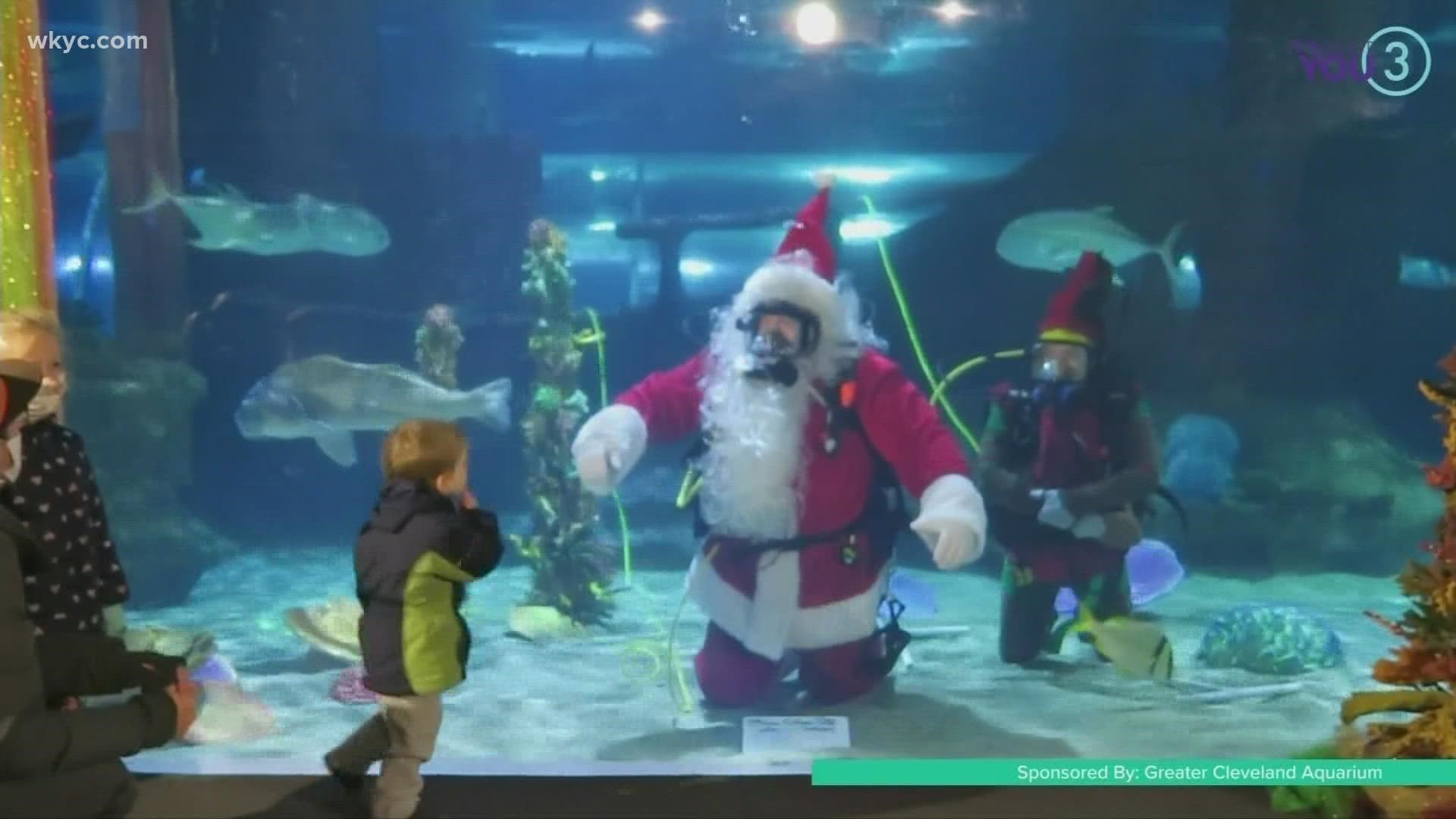 Scuba Santa is back! Joe talks with Stephanie White about the family fun you can experience during the holidays at the Greater Cleveland Aquarium!