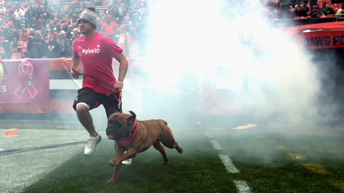 Swagger, beloved Browns' bullmastiff mascot, to retire Sunday